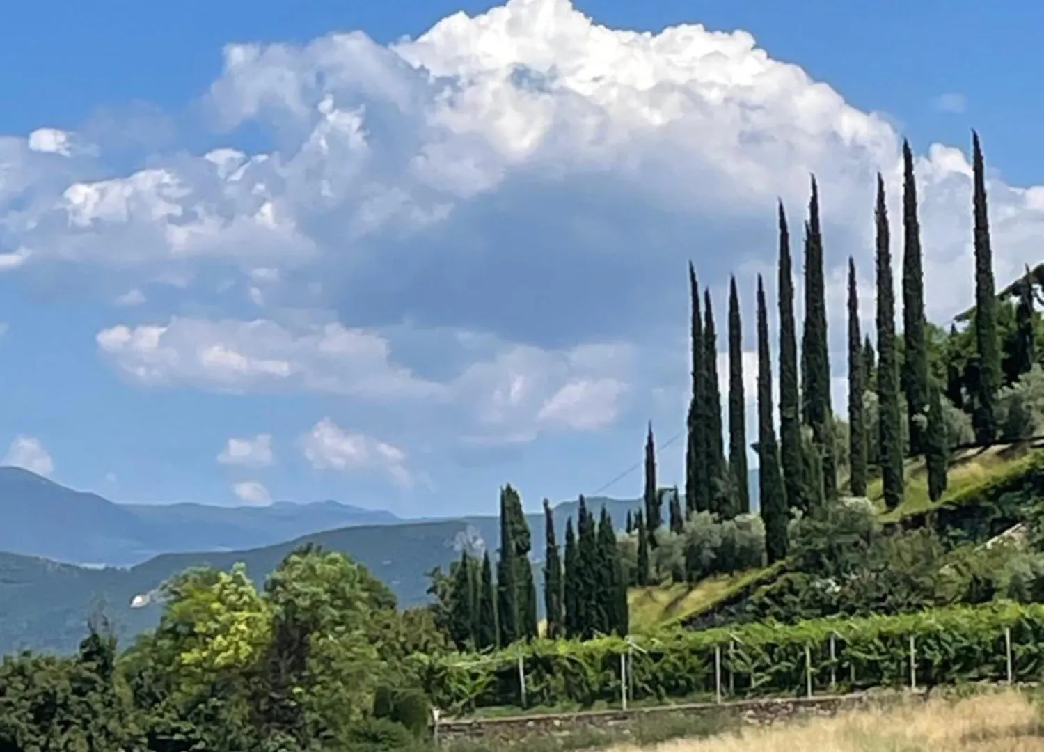 Ferienwohnung La Casa In Collina Caprino Veronese Apartment